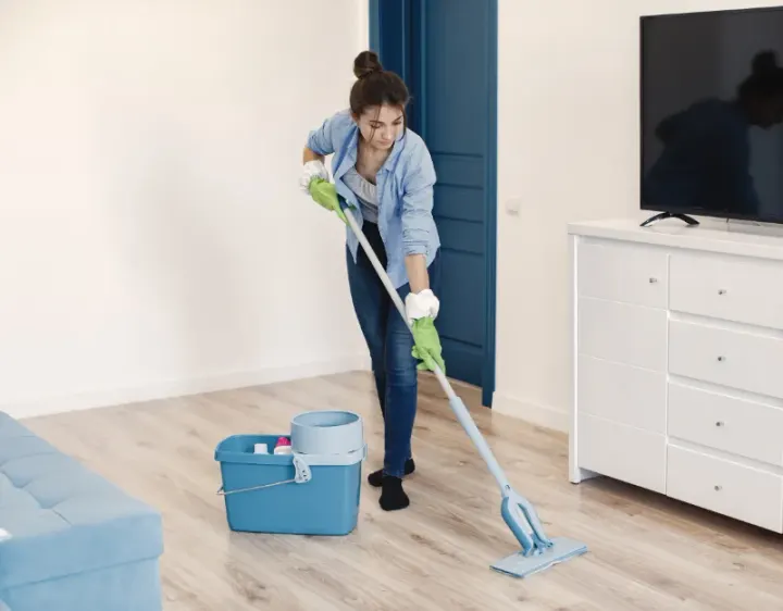 Femme de ménage Saujon